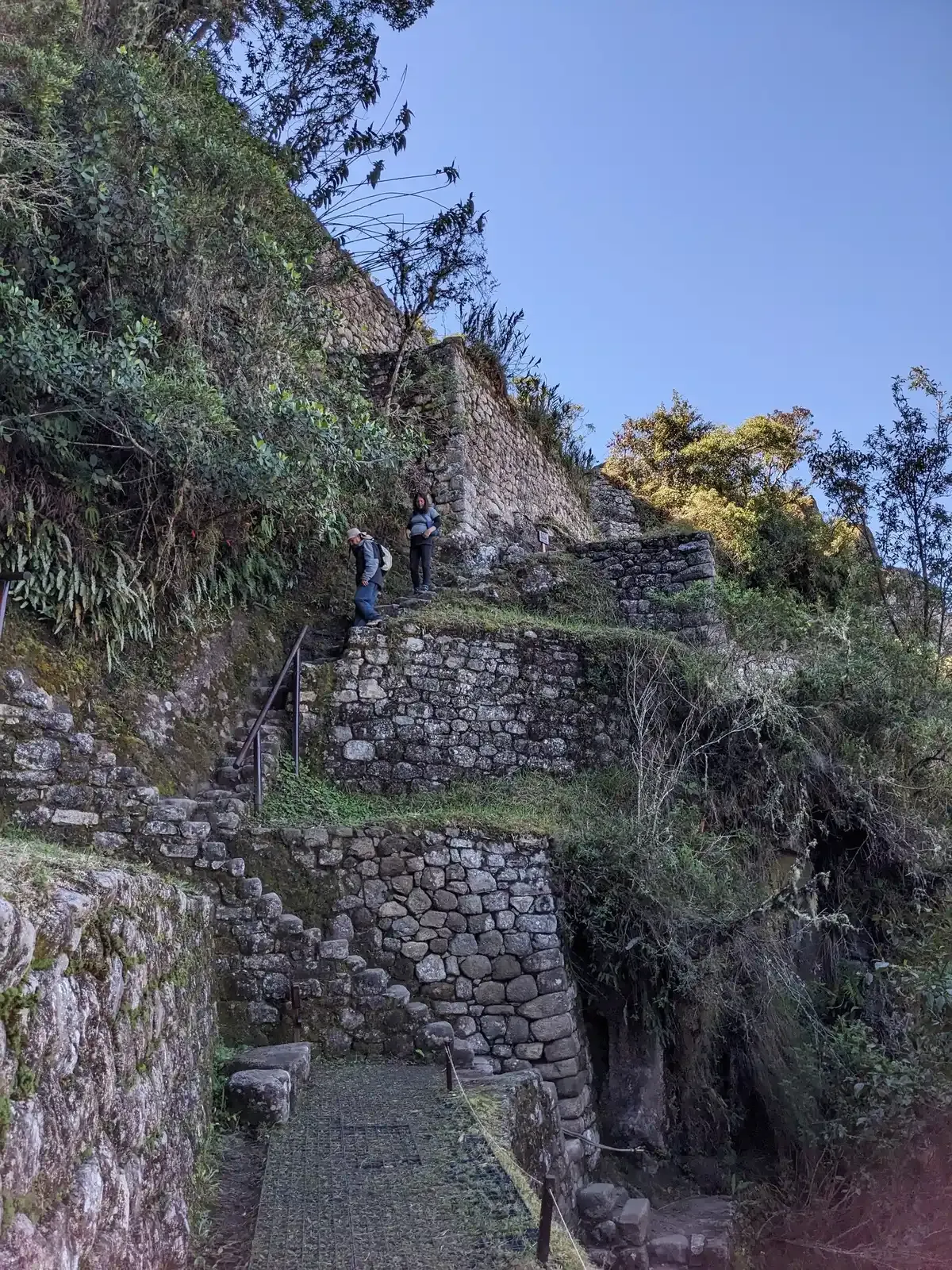 Steps on the Huayna Picchu hiking track near the summit, Aguas Calientes, Peru
